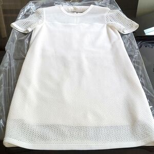 rag & bone NY antique white size Small Reg lined short sleeve dress